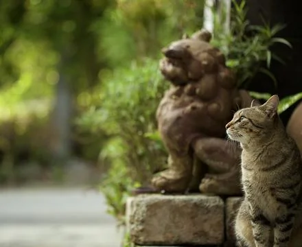 Tabby Cat Sitting Next to Shisa Statue. Stock Photos