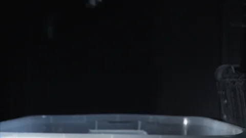 Tabby cat splashes in the container filled with water in slow motion Stock Footage 99986740