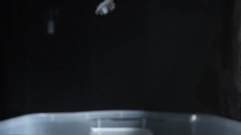 Tabby cat splashes in the container filled with water in slow motion Stock Footage 99987173