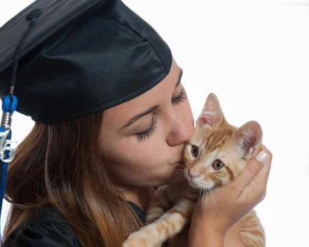 Tabby kitten receiving a kiss Stock Photos