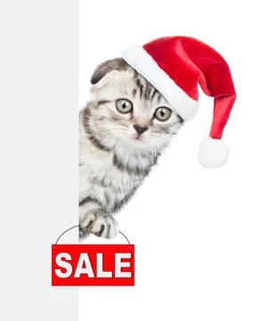Tabby kitten wearing a red christmas hat holds sales symbol behind empty bann Stock Photos