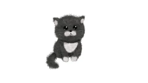 Tabby kitten on white background Stock Footage 256596828