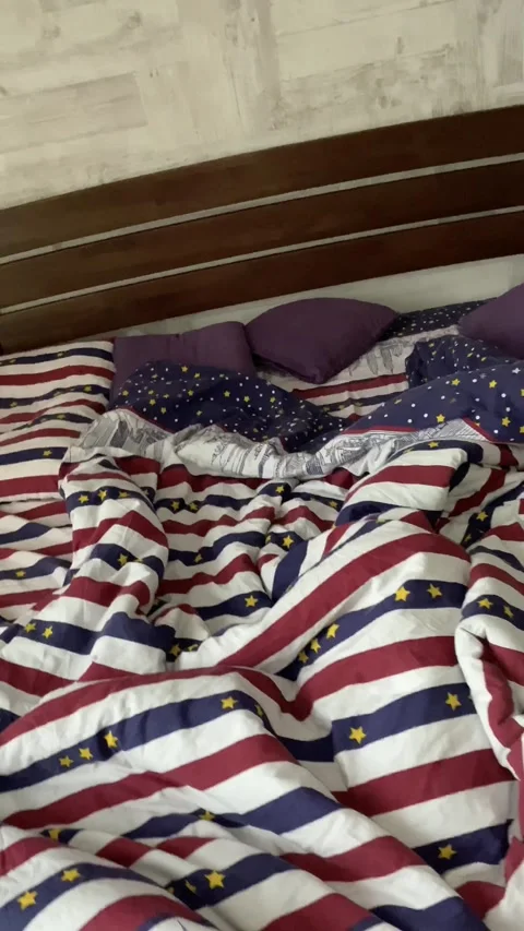 A tabby Scottish cat hides under a blanket on the bed. Stock Footage 141657271