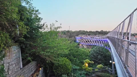 Tabiat Bridge, Tehran, iran Stock Footage 305833414