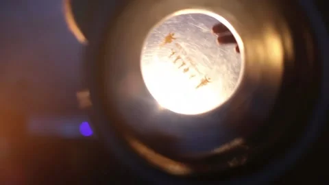 Tabla, Daraboka 스톡 동영상 147262163