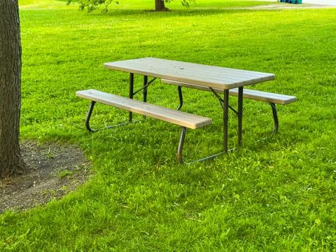 Table and benches on grass in a park during daytime near trees in a calm ou.. Stock Photos