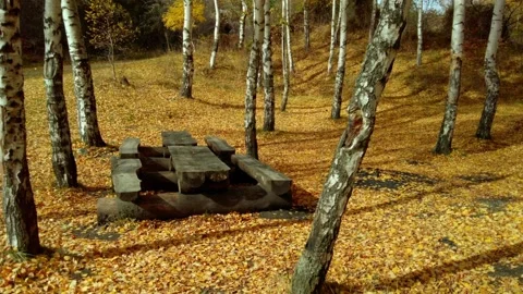 Table and Benches for a Picnic in the Forest Stock Footage 164599494