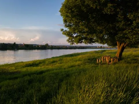 A table and benches under a tree on the shore overgrown with grass. Stock Photos