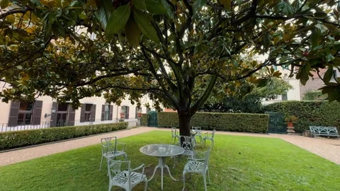 Table and chairs under a tree in the park 2 Видео 336024398
