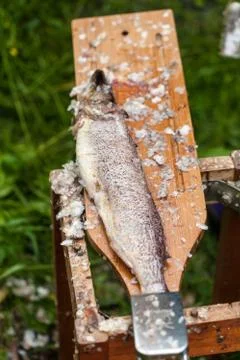 A table and the  cleaned fish after gutting fish or cleaning fresh fish i Stock Photos