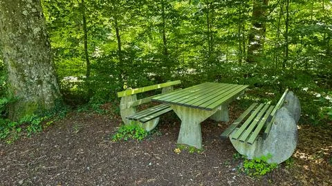 The table and two benches made of concrete and metal are located in the forest Stock Photos