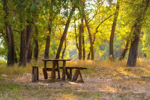 A table and two benches from a rough log house. Recreation area in the forest 스톡 사진