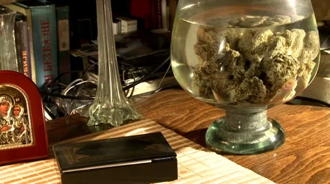 Table with aquarium and book Stock Footage 8509301
