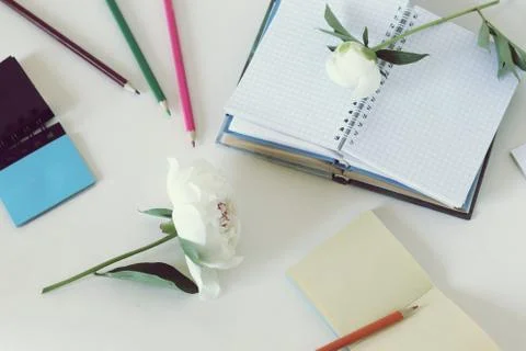 On the table are paper, books, empty notebooks, pencils Stock Photos