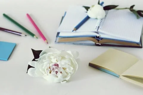 On the table are paper, books, empty notebooks, pencils Stock Photos