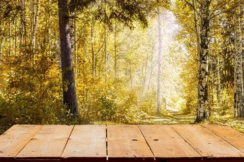 Table of autumn Foto stock