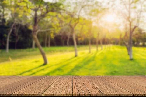 Table background and spring time Stock Photos