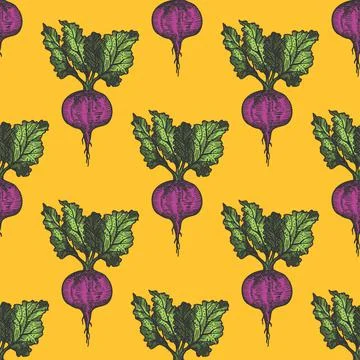 Table beet seamless pattern hand drawn background on yellow. Vintage background Stock Illustration