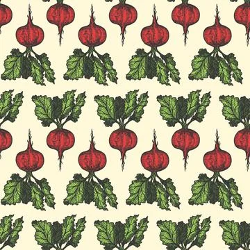 Table beet seamless pattern hand drawn background. Vintage background. Vector Stock Illustration