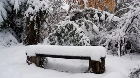 Table with a bench in the winter garden in the snow. Stock Footage 221907527