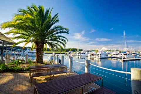 Table, benches and tree by the ferry entrance at marina at hope island Stock Photos