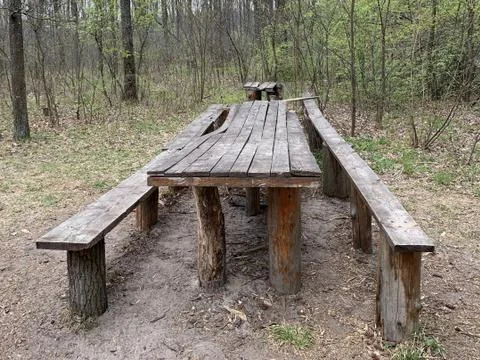 A table with benches in the spring forest, among the trees. Picnic place amon Foto stock