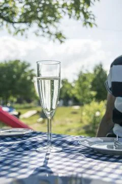 On a table with a blue-checked tablecloth, there is a glass of champagne to c Stock Photos