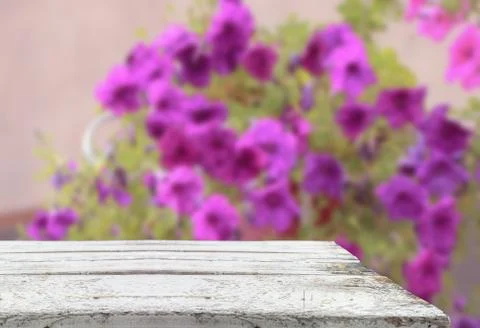 Table with blurred flowers Stock Photos