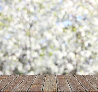 Table on a blurry background of spring blooming branches. Foto stock