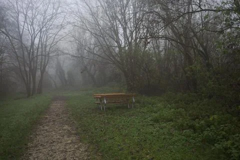 Table in a clearing Stock Photos