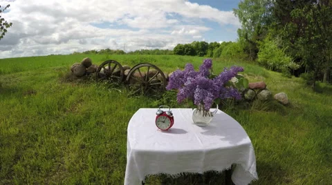 Table with a clock and lilacs in glass jug outdoors, time lapse 4K Stock Footage 63392933