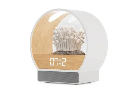 Table Clock with Glass Bulb for Growing Shimeji Mushrooms and Speaker. 3d R.. Stock Illustration