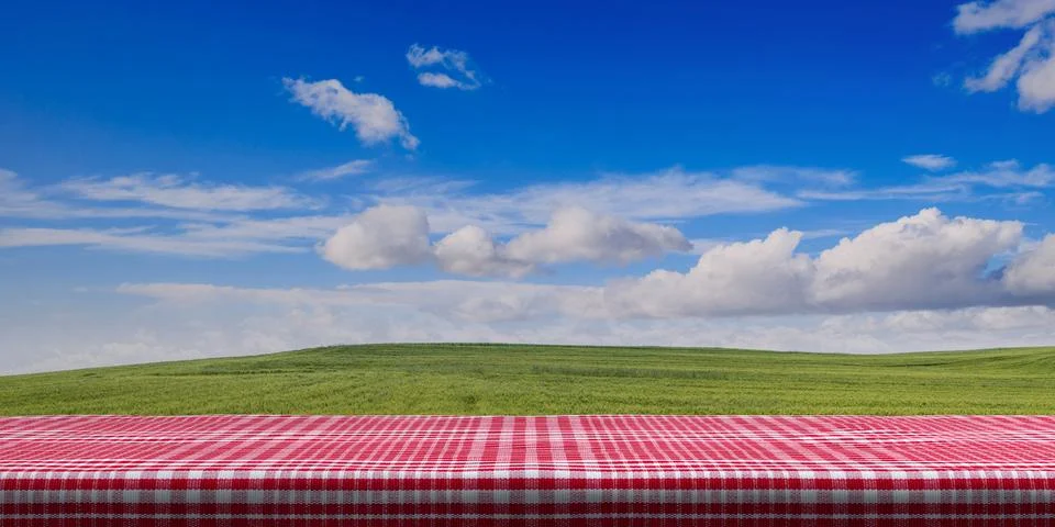 Table covered with red checkered tablecloth on blue sky background, copy spac Illustrazione stock