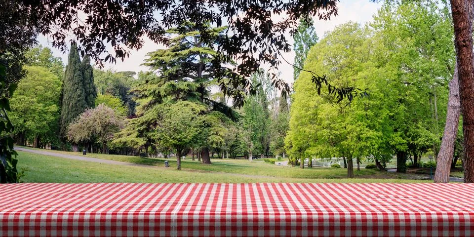 Table covered with red checkered tablecloth on green park background, copy sp Illustrazione stock