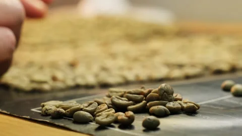 Table covered with scattered coffee beans supervised by manager Video stock 317094072