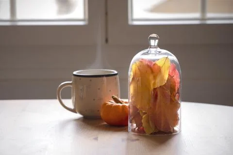 Table with cup of coffee or tea during autumn cold day. Table deco arrangemen Stock Photos
