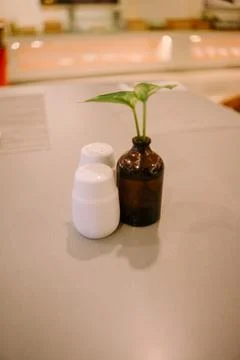 Table decor with a small plant in a tiny bottle and a mini salt shaker on a.. Foto stock