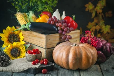 The table, decorated with vegetables, pumpkins and fruits. Harvest Festival Stock Photos