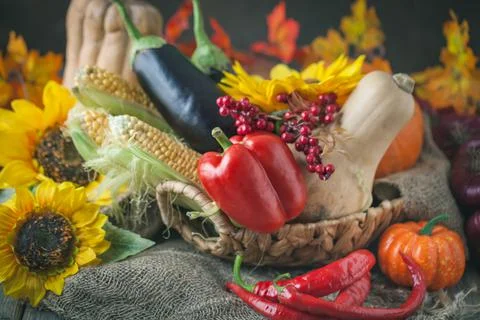 The table, decorated with vegetables, pumpkins and fruits. Harvest Festival Stock Photos
