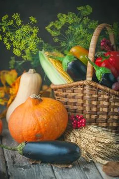 The table, decorated with vegetables, pumpkins and fruits. Harvest Festival Stock Photos