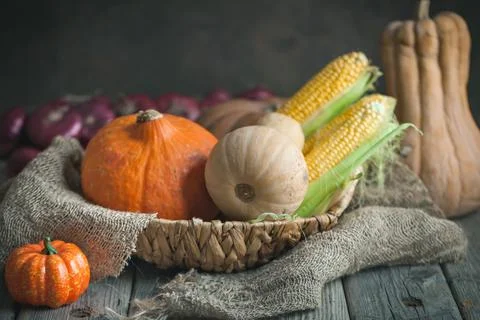 The table, decorated with vegetables, pumpkins and fruits. Harvest Festival Foto stock