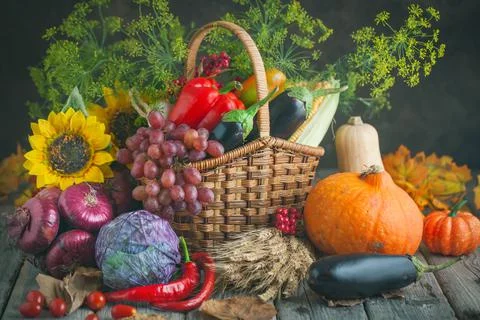The table, decorated with vegetables, pumpkins and fruits. Harvest Festival Stock Photos