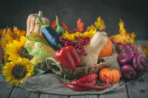 The table, decorated with vegetables, pumpkins and fruits. Harvest Festival Foto stock