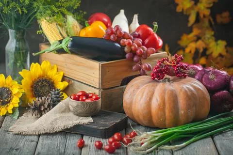 The table, decorated with vegetables, pumpkins and fruits. Harvest Festival Foto stock