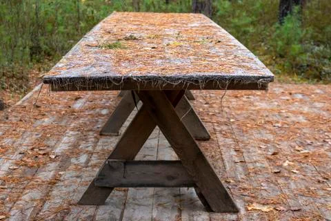 Table in the forest. Stock Photos