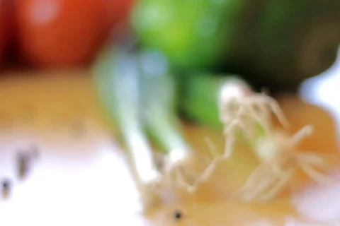 Table full of vegetables, dolly shot Stock Footage 777720