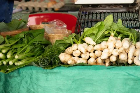 A table full of vegetables including green beans, carrots, and potatoes Stock Photos