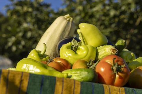 A table full of vegetables including tomatoes, peppers, and squash Foto stock