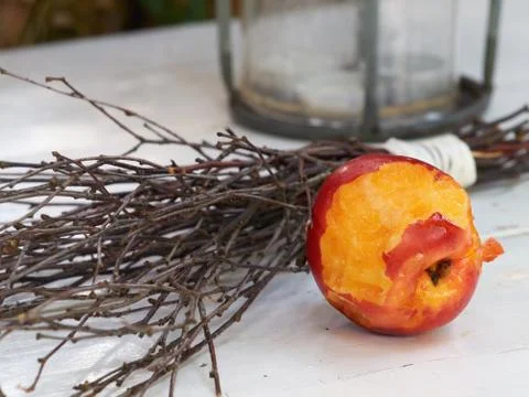 A table in the garden Stock Photos
