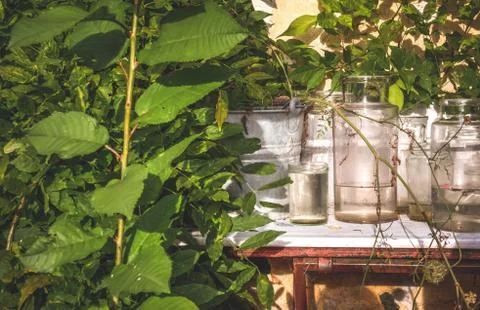 Table with glasses Stock Photos